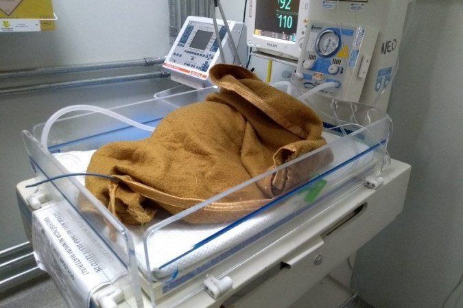  (crédito: Reprodução)