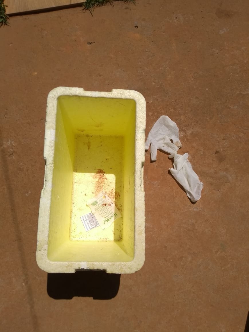 Caixa de isopor onde bebê foi encontrado