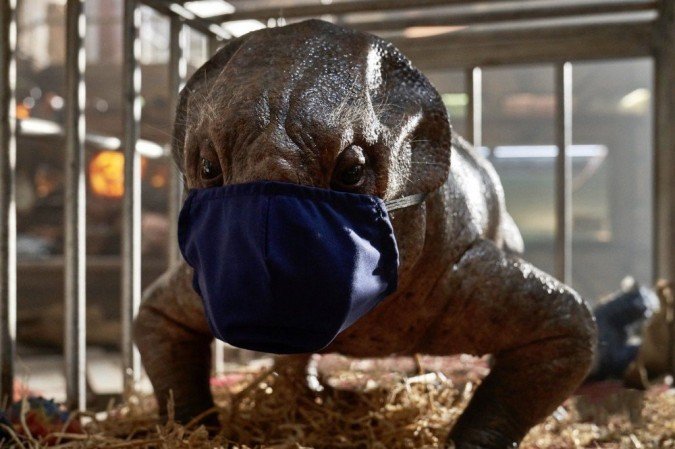  (crédito: Twitter/ Reprodução)