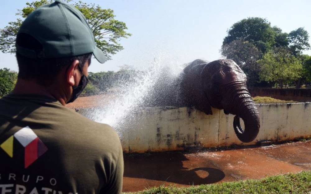 Calorão no DF: brasilienses aproveitam para se refrescar na Água