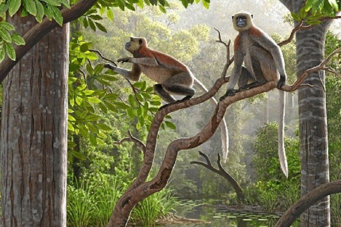  (crédito: Mauricio Antón/Divulgação)