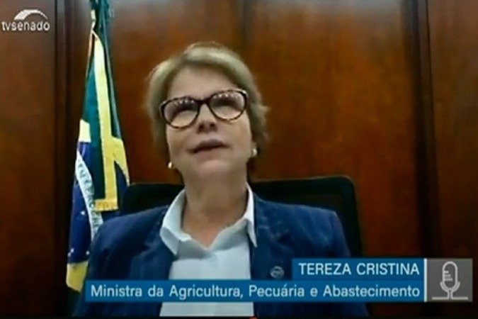 Tereza Cristina em audiência pública remota do Senado: Tereza Cristina em audiência pública remota do Senado:
