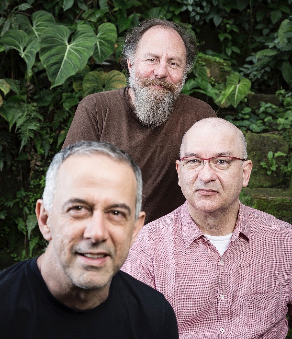 Banda Paralamas do Sucesso