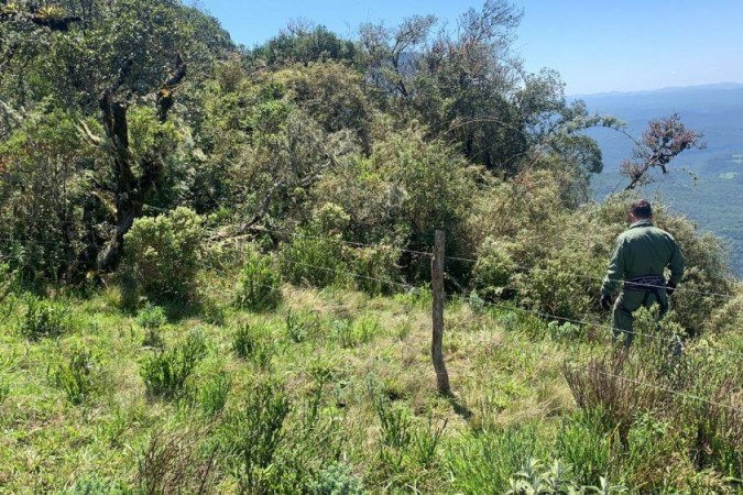 PMSC durante resgate de alpinistas no interior de Santa Catarina