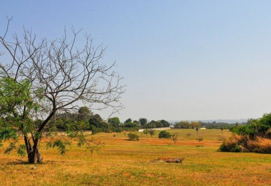 Acácio Pinheiro/Agência Brasília