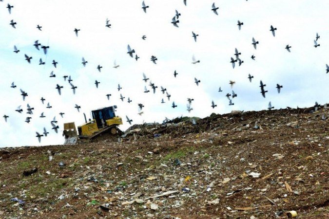 Vinte agentes do DL Legal começaram a fazer o treinamento nesta quarta-feira (14/10) -  (crédito: Marcelo Ferreira/CB/D.A Press)