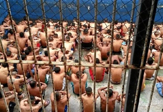 Reproducao da Internet