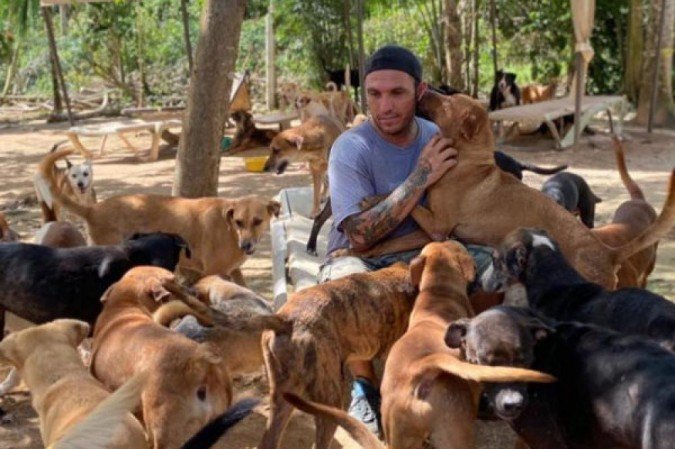 animais resgatados no méxico 