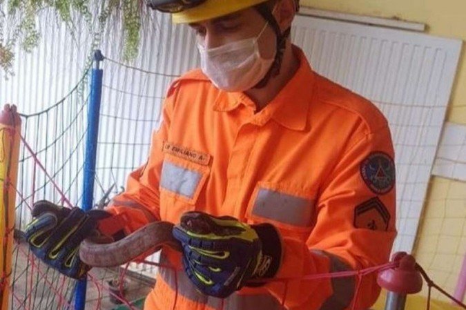 (crédito: CBMG ) (crédito: CBMG )