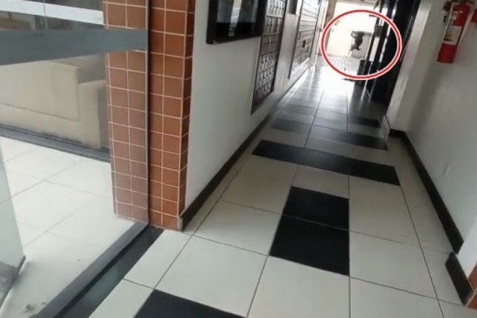 O homem agrediu diversas vezes o animais, suspendendo-o no ar antes de jogá-lo ao chão - (crédito: Reprodução/Material cedido ao Correio) O homem agrediu diversas vezes o animais, suspendendo-o no ar antes de jogá-lo ao chão - (crédito: Reprodução/Material cedido ao Correio)