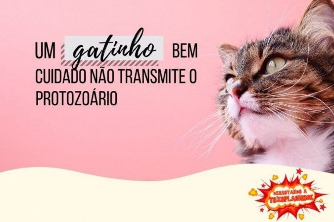 (crédito: Isabela Oliveira) (crédito: Isabela Oliveira)