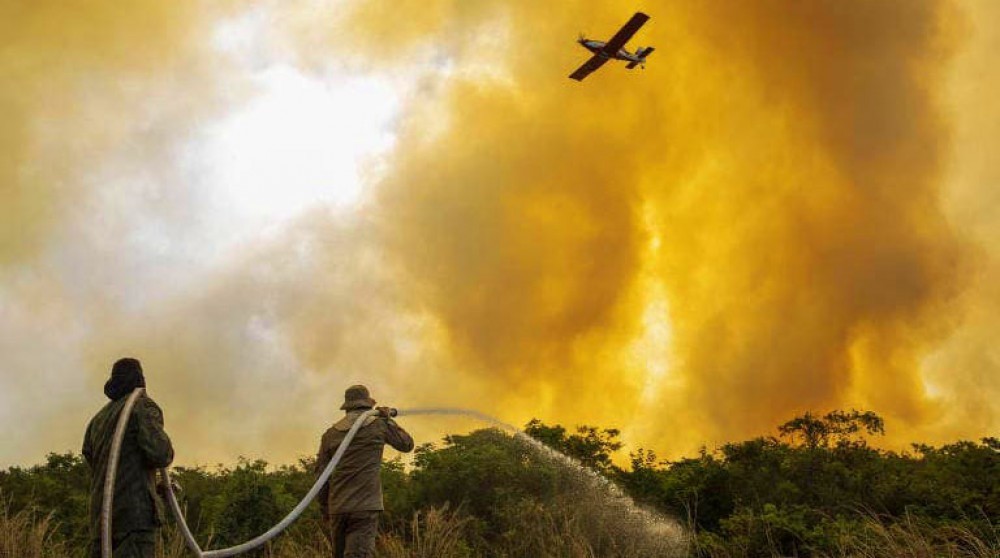 Perda de florestas tropicais aumenta em 2020 no mundo, com o Brasil à frente