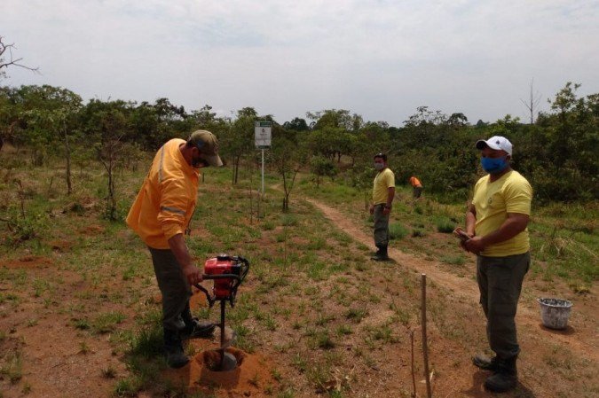 Espécies como ipê e cagaita serão plantadas em homenagem às vítimas da covid-19 - (crédito: Brasília Ambiental) Espécies como ipê e cagaita serão plantadas em homenagem às vítimas da covid-19 - (crédito: Brasília Ambiental)