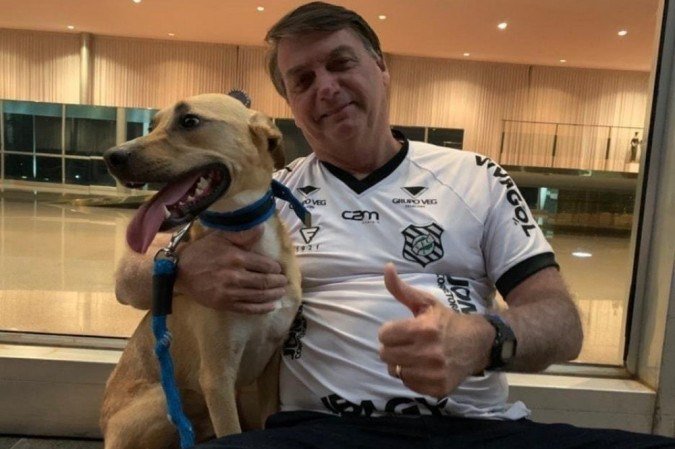 (crédito: Reprodução / Redes Sociais) (crédito: Reprodução / Redes Sociais)