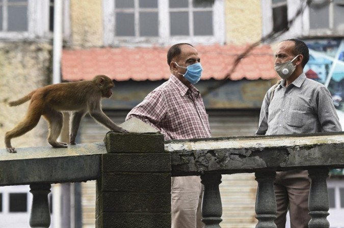 Nesta fotografia tirada em 29 de agosto de 2020, um macaco passa por pessoas em uma estrada em Shimla. -  (crédito: Money SHARMA / AFP)