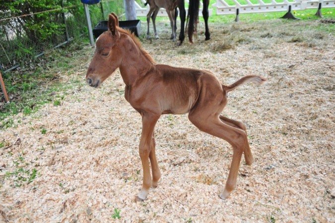 Casal de irmãos é raro na corporação