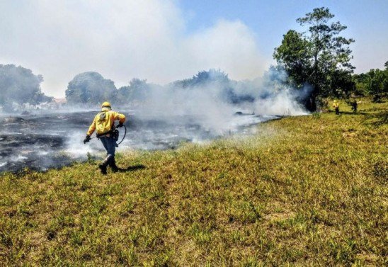 Divulgação Instituto Brasília Ambiental