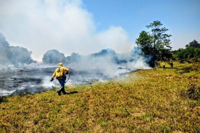  (crédito: Divulgação/Instituto Brasília Ambiental)