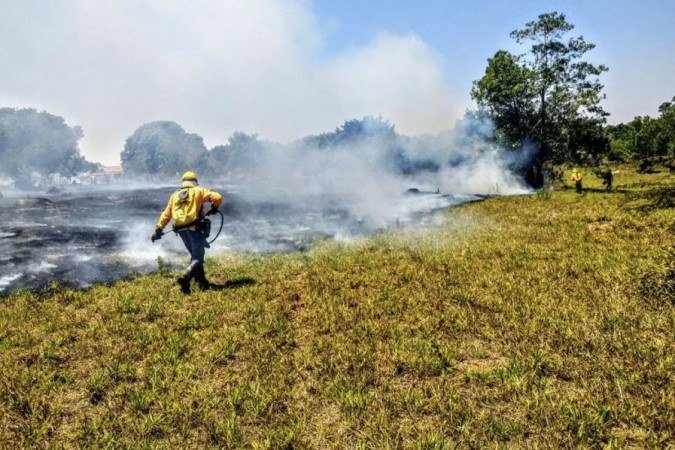  (crédito: Divulgação Instituto Brasília Ambiental)