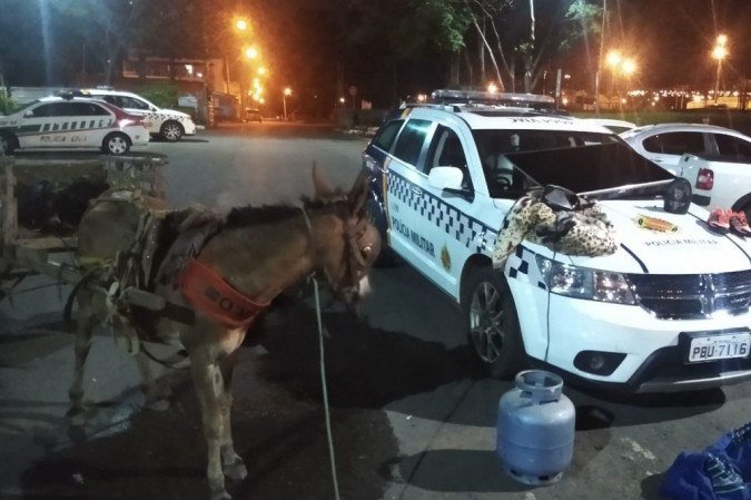 PMDF apreende adolescente que furtava casa, em Samambaia, com uma carroça