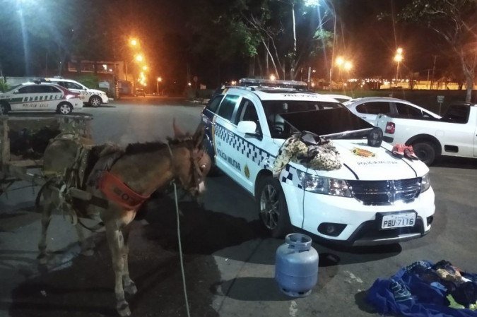 PMDF apreende adolescente que furtava casa, em Samambaia, com uma carroça