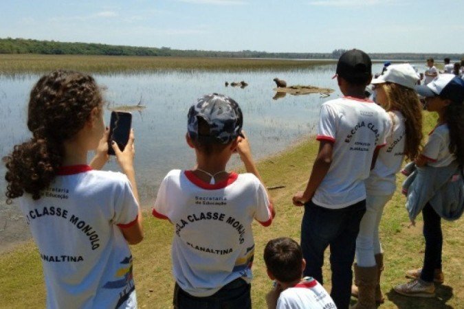  (crédito: Divulgação/Ibram)