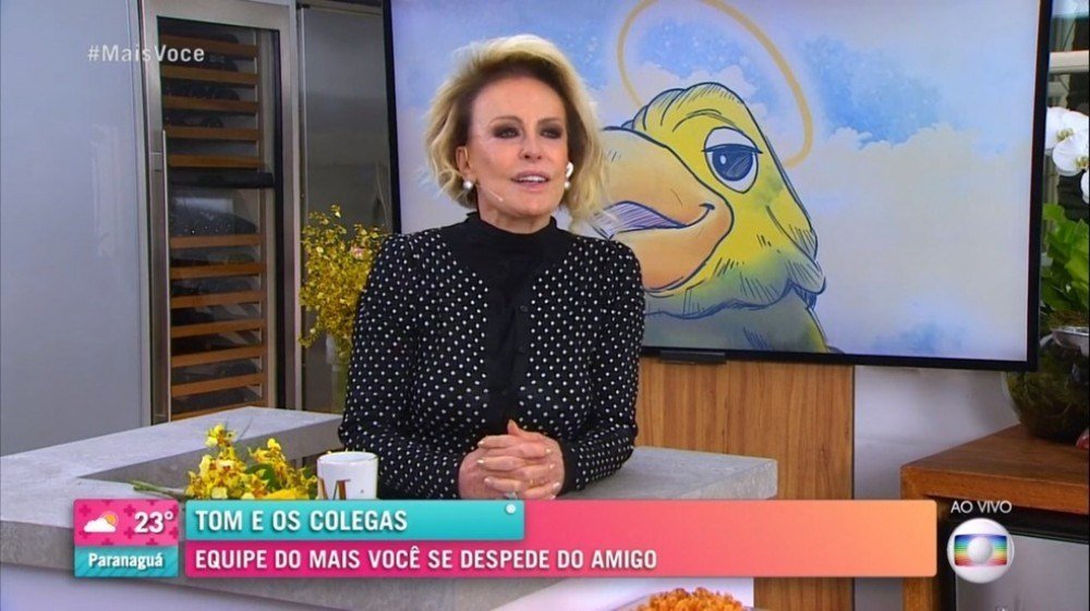 Ana Maria Braga confirma possibilidade de novo Louro José: 'Deve acontecer'