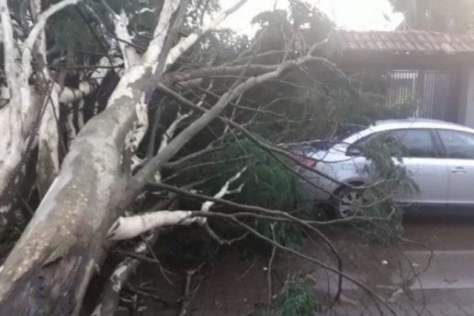  (crédito: CBMDF/Divulgação)