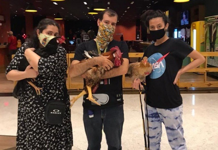 Grupo de amigos se conheceu através de clínica veterinária. Como não se viam desde março, aproveitaram o sábado para um reencontro com os animais