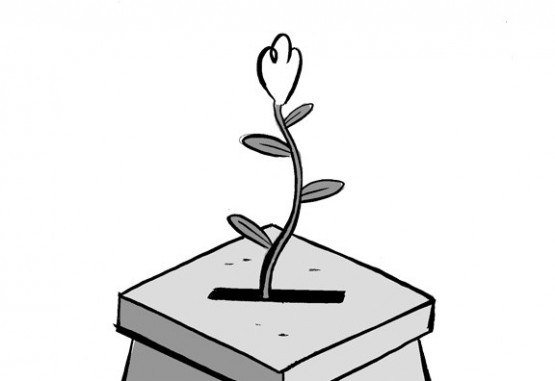 (crédito: Gomez) (crédito: Gomez)
