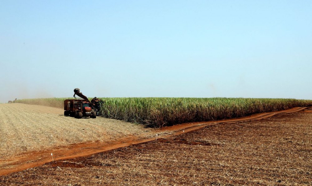 Seagri assina termo para buscar desenvolvimento rural sustentavel no DF