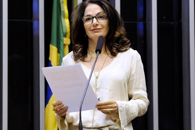 Autora do projeto, deputada Norma Ayub (DEM-ES) -  (crédito: Câmara Legislativa/Divulgação)