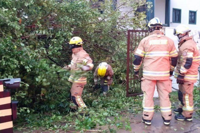 Árvore cai por cima de carro no Lago Norte