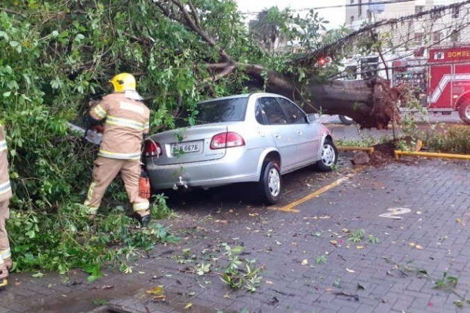 Árvore cai por cima de carro no Lago Norte