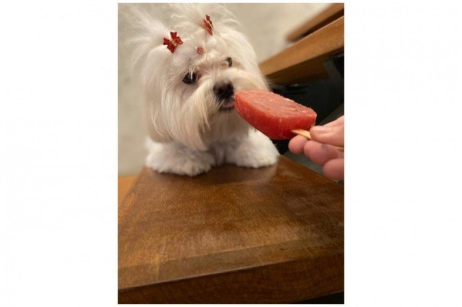 Sharpay foi introduzida à alimentação natural durante a quarentena: picolé de fruta para refrescar 