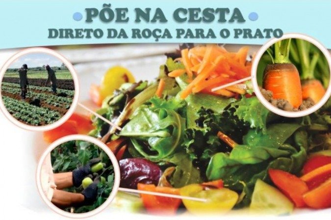 Produtores rurais e agroind&uacute;stria ganham nova ferramenta para com&eacute;rcio