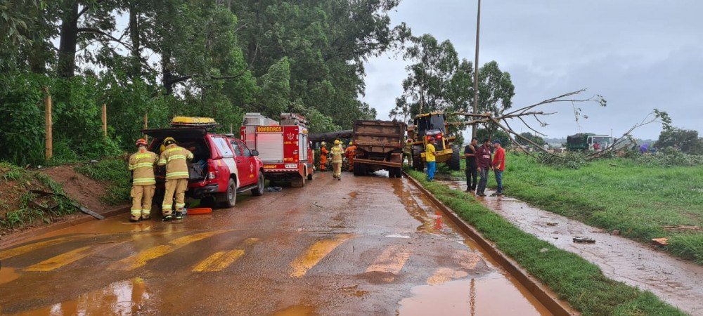 Árvore cai em cima de caminhão na Estrutural e deixa um homem morto