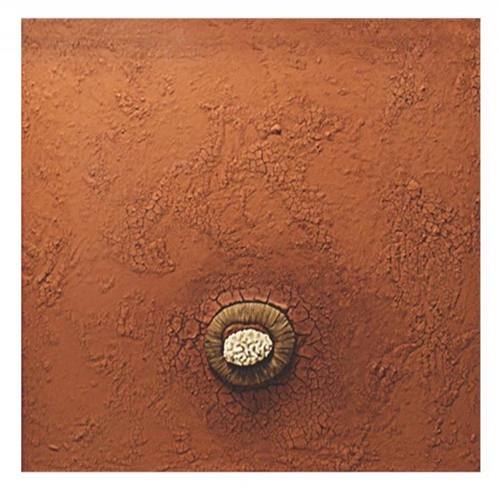 O SERTÃO - Bené Fonteles, Umbigo do mundo, 2004, Coral marinho, objeto inígena e terra de Brasília sobre madeira