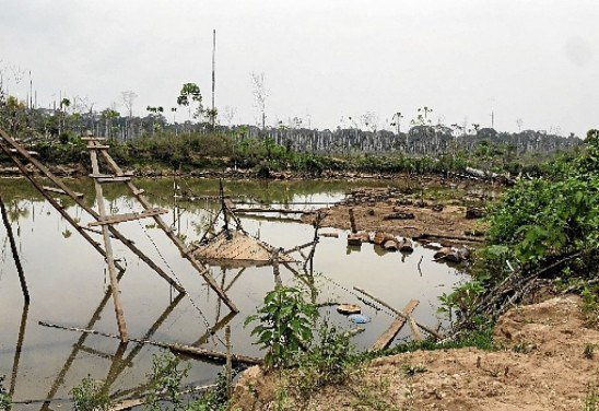 Melissa Marchese/Divulgação