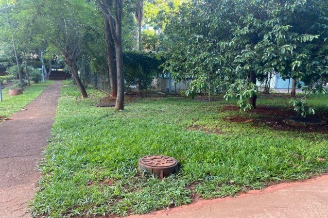 Terreno do Centro Especializado em Diabetes, Obesidade e Hipertensão (Cedoh), na Asa Norte, é colocado à venda pelos Correios