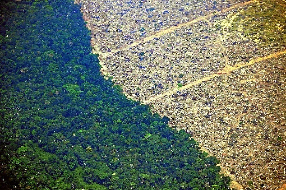 Emissão de gases estufa aumentaram 40% no Brasil desde 2010, diz relatório