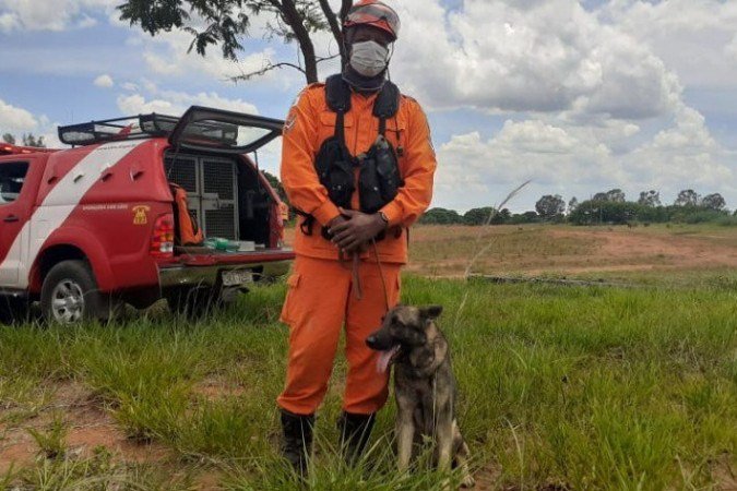 Cão da raça Pastor Alemão levou a guarnição até o cadáver