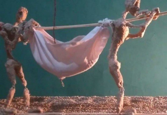 Iogan Montefusco/Divulgação