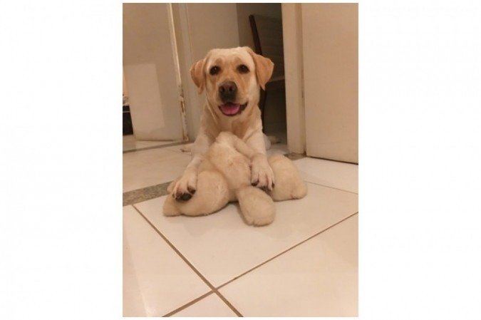  (crédito: Arquivo pessoal)