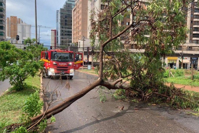 Corpo de Bombeiros atendeu à ocorrência - (crédito: Divulgação/CBMDF) Corpo de Bombeiros atendeu à ocorrência - (crédito: Divulgação/CBMDF)