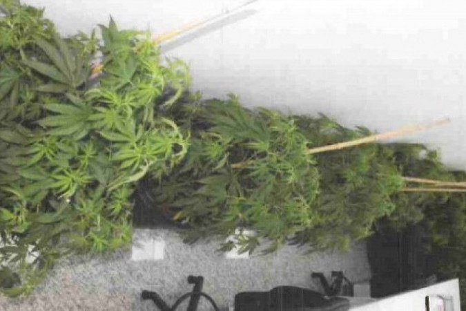 Delegado da Polícia Civil do DF é preso por tráfico de drogas
