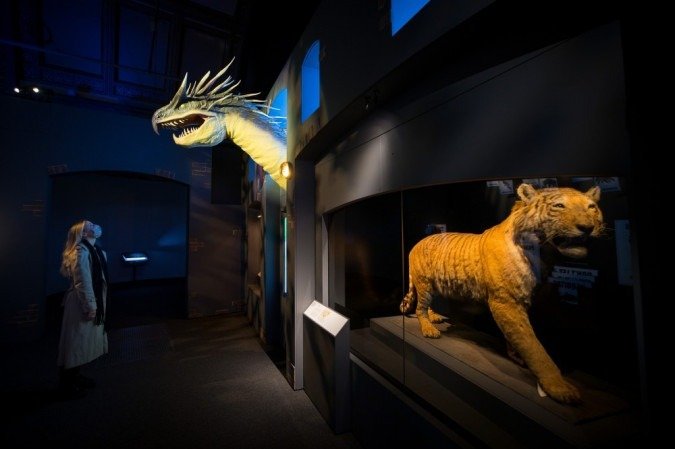 Um membro da equipe posa com um dragão Húngaro Rabo-Córneo feito para a série de filmes Fantastic Beasts na exibição da imprensa da exposição Fantastic Beasts: The Wonder of Nature na Exposição de História Natural em Londres em 7 de dezembro de 2020. - (crédito: Tolga Akmen / AFP) Um membro da equipe posa com um dragão Húngaro Rabo-Córneo feito para a série de filmes Fantastic Beasts na exibição da imprensa da exposição Fantastic Beasts: The Wonder of Nature na Exposição de História Natural em Londres em 7 de dezembro de 2020. - (crédito: Tolga Akmen / AFP)