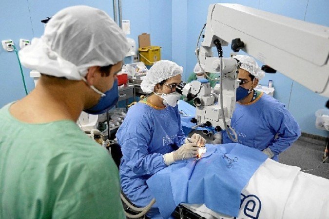 (crédito: Davidyson Damasceno/Ascom Iges DF) (crédito: Davidyson Damasceno/Ascom Iges DF)