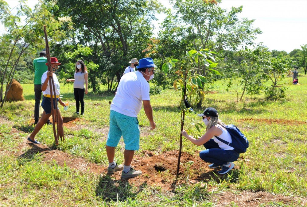  Comitê de voluntariado ambiental da CLDF plantará árvores no Guará 2