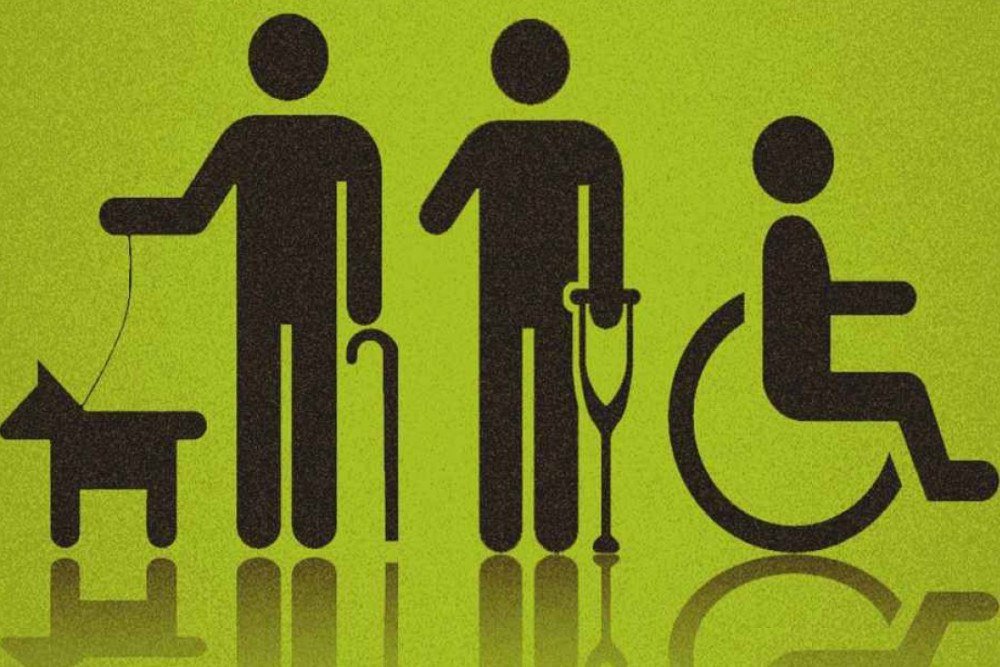 Floresta Nacional de Brasília receberá cadeiras de rodas adaptadas para trilhas